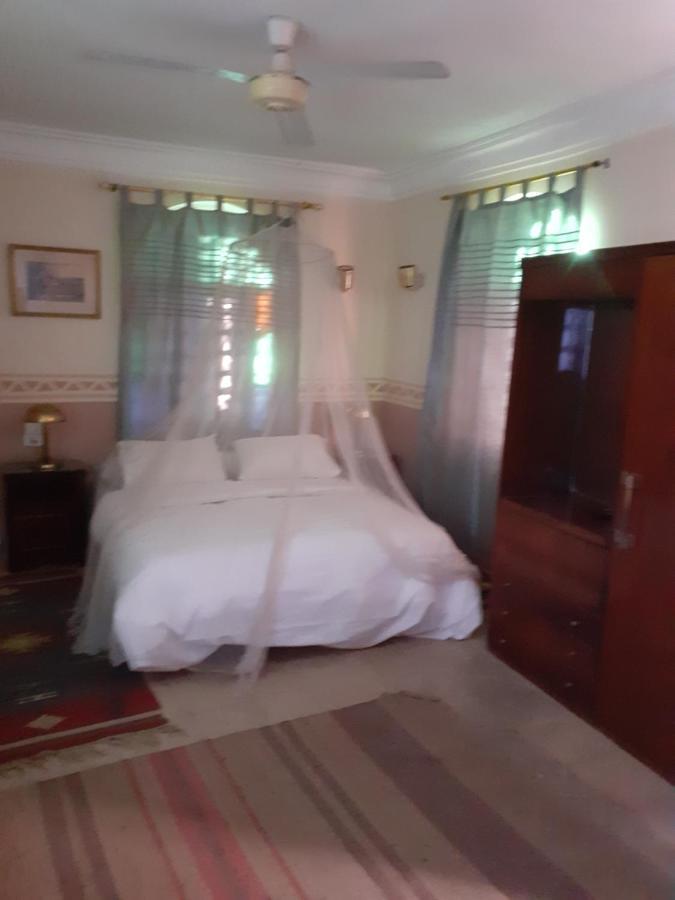 Villa Nile House Louxor Extérieur photo