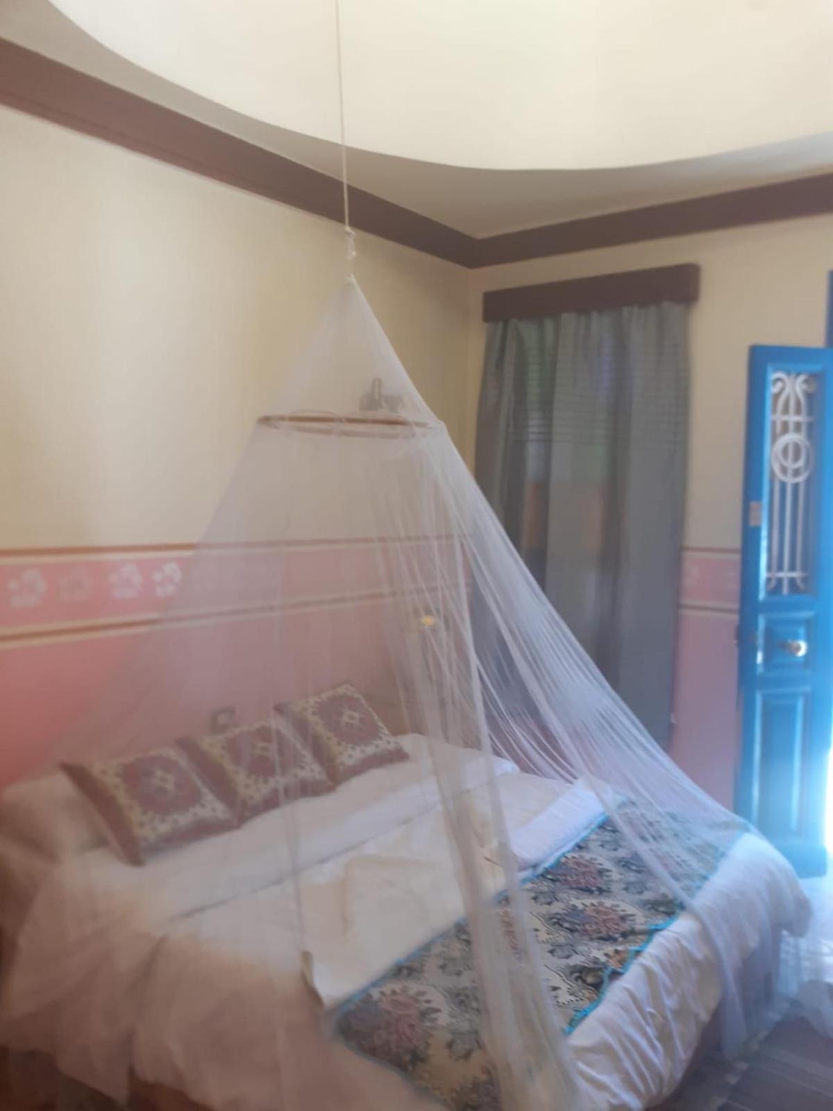 Villa Nile House Louxor Extérieur photo